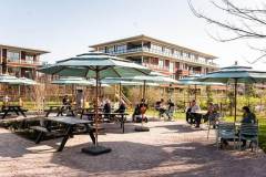 Parasol-Solero-Lasagna-Spa