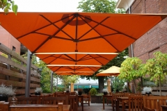 p6-duo-bitter-orange